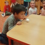 phoca_thumb_m_zajci a vtr 28 Fotogalerie